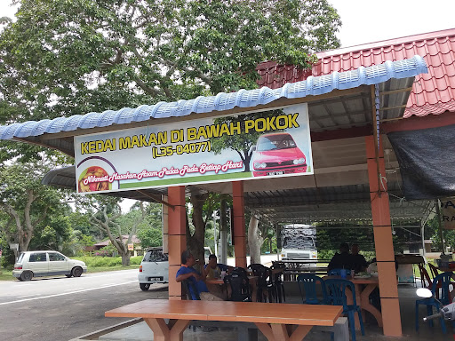 Di Bawah Pokok Di Bawah Pokok