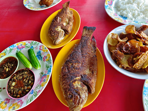 Restoran Penyu Lapo